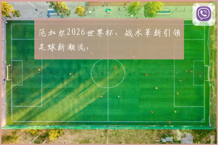 范加尔2026世界杯，战术革新引领足球新潮流，