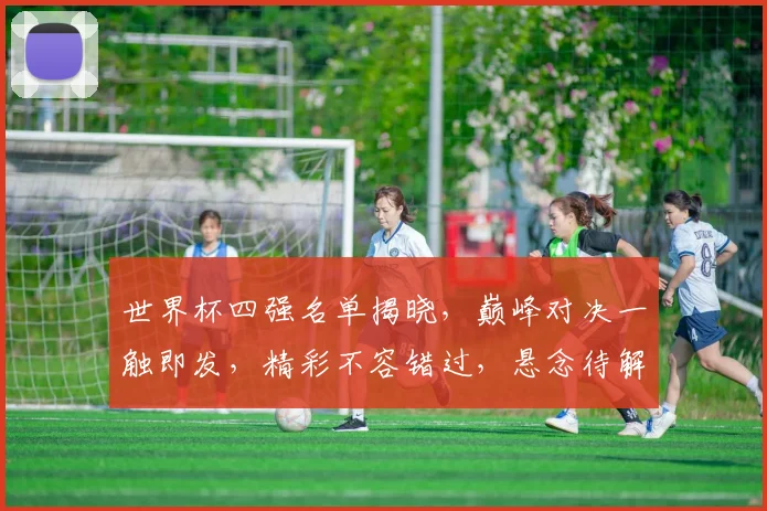 世界杯四强名单揭晓，巅峰对决一触即发，精彩不容错过，悬念待解